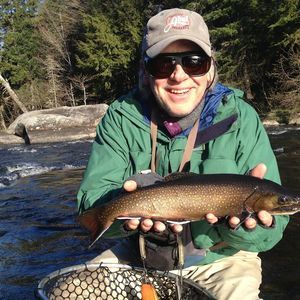 Meet your Posher, Forrest